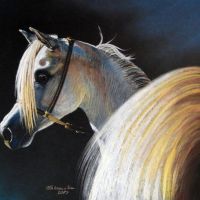 Rainbow Horse, pastel, 50x70 cm